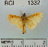  ( - YB-BCI1332)  @12 [ ] No Rights Reserved  Unspecified Unspecified