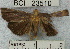 ( - YB-BCI23510)  @13 [ ] No Rights Reserved  Unspecified Unspecified