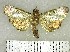  ( - YB-BCI174018)  @11 [ ] No Rights Reserved  Unspecified Unspecified