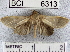  ( - YB-BCI6313)  @12 [ ] No Rights Reserved  Unspecified Unspecified