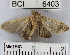  ( - YB-BCI6403)  @12 [ ] No Rights Reserved  Unspecified Unspecified