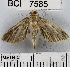  ( - YB-BCI7585)  @14 [ ] No Rights Reserved  Unspecified Unspecified
