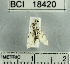  ( - YB-BCI18420)  @12 [ ] No Rights Reserved  Unspecified Unspecified