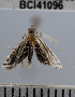  ( - YB-BCI41096)  @11 [ ] No Rights Reserved  Unspecified Unspecified