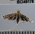  ( - YB-BCI49178)  @11 [ ] No Rights Reserved  Unspecified Unspecified