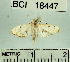  ( - YB-BCI18447)  @13 [ ] No Rights Reserved  Unspecified Unspecified