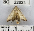  ( - YB-BCI22823)  @12 [ ] No Rights Reserved  Unspecified Unspecified