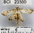  ( - YB-BCI23300)  @13 [ ] No Rights Reserved  Unspecified Unspecified