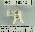 ( - YB-BCI18313)  @12 [ ] No Rights Reserved  Unspecified Unspecified