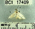  ( - YB-BCI17409)  @12 [ ] No Rights Reserved  Unspecified Unspecified