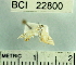  ( - YB-BCI22800)  @12 [ ] No Rights Reserved  Unspecified Unspecified