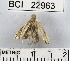  ( - YB-BCI22963)  @13 [ ] No Rights Reserved  Unspecified Unspecified
