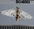  ( - YB-BCI48302)  @11 [ ] No Rights Reserved  Unspecified Unspecified