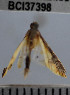  ( - YB-BCI37398)  @12 [ ] No Rights Reserved  Unspecified Unspecified