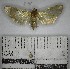  ( - YB-BCI171640)  @11 [ ] No Rights Reserved  Unspecified Unspecified