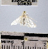  ( - YB-BCI48285)  @11 [ ] No Rights Reserved  Unspecified Unspecified