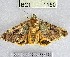  ( - YB-BCI1150)  @11 [ ] No Rights Reserved  Unspecified Unspecified