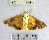  ( - YB-BCI1150)  @11 [ ] No Rights Reserved  Unspecified Unspecified