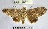  ( - YB-BCI7492)  @11 [ ] No Rights Reserved  Unspecified Unspecified