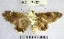  ( - YB-BCI7492)  @11 [ ] No Rights Reserved  Unspecified Unspecified