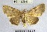  ( - YB-BCI7728)  @11 [ ] No Rights Reserved  Unspecified Unspecified