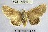  ( - YB-BCI7728)  @11 [ ] No Rights Reserved  Unspecified Unspecified
