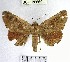  ( - YB-BCI26660)  @11 [ ] No Rights Reserved  Unspecified Unspecified