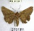  ( - YB-BCI26660)  @11 [ ] No Rights Reserved  Unspecified Unspecified