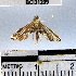  ( - YB-BCI31209)  @12 [ ] No Rights Reserved  Unspecified Unspecified