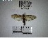  ( - YB-BCI193080)  @11 [ ] No Rights Reserved  Unspecified Unspecified
