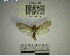  ( - YB-BCI193138)  @11 [ ] No Rights Reserved  Unspecified Unspecified