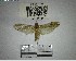  ( - YB-BCI193165)  @11 [ ] No Rights Reserved  Unspecified Unspecified