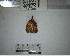 ( - YB-BCI184573)  @11 [ ] No Rights Reserved  Unspecified Unspecified