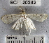  ( - YB-BCI20242)  @12 [ ] No Rights Reserved  Unspecified Unspecified