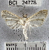  ( - YB-BCI24778)  @13 [ ] No Rights Reserved  Unspecified Unspecified