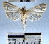 ( - YB-BCI45005)  @12 [ ] No Rights Reserved  Unspecified Unspecified