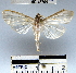  ( - YB-BCI45705)  @11 [ ] No Rights Reserved  Unspecified Unspecified