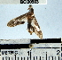  ( - YB-BCI30903)  @13 [ ] No Rights Reserved  Unspecified Unspecified