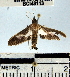 ( - YB-BCI48113)  @13 [ ] No Rights Reserved  Unspecified Unspecified