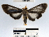  ( - YB-BCI31465)  @12 [ ] No Rights Reserved  Unspecified Unspecified