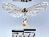  ( - YB-BCI48231)  @11 [ ] No Rights Reserved  Unspecified Unspecified