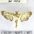  (Salbia sp. 4YB - YB-BCI171731)  @11 [ ] No Rights Reserved  Unspecified Unspecified