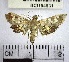  (Ategumia sp. 12YB - YB-BCI154531)  @11 [ ] No Rights Reserved  Unspecified Unspecified