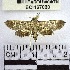  (Ategumia sp. 13YB - YB-BCI167030)  @11 [ ] No Rights Reserved  Unspecified Unspecified