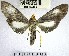  ( - YB-BCI174150)  @13 [ ] No Rights Reserved  Unspecified Unspecified