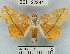  (Midila sp. 1YB - YB-BCI22244)  @14 [ ] No Rights Reserved  Unspecified Unspecified