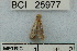  ( - YB-BCI25977)  @12 [ ] No Rights Reserved  Unspecified Unspecified