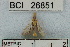  ( - YB-BCI26851)  @12 [ ] No Rights Reserved  Unspecified Unspecified