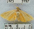  ( - YB-BCI2767)  @14 [ ] No Rights Reserved  Unspecified Unspecified