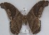  ( - YB-BCI13990)  @13 [ ] No Rights Reserved  Unspecified Unspecified